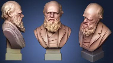3D модель Бюст Чарльза Дарвина С.1899 (STL)